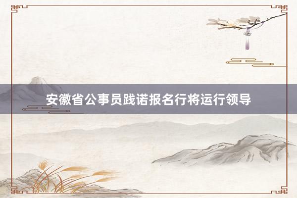 安徽省公事员践诺报名行将运行领导
